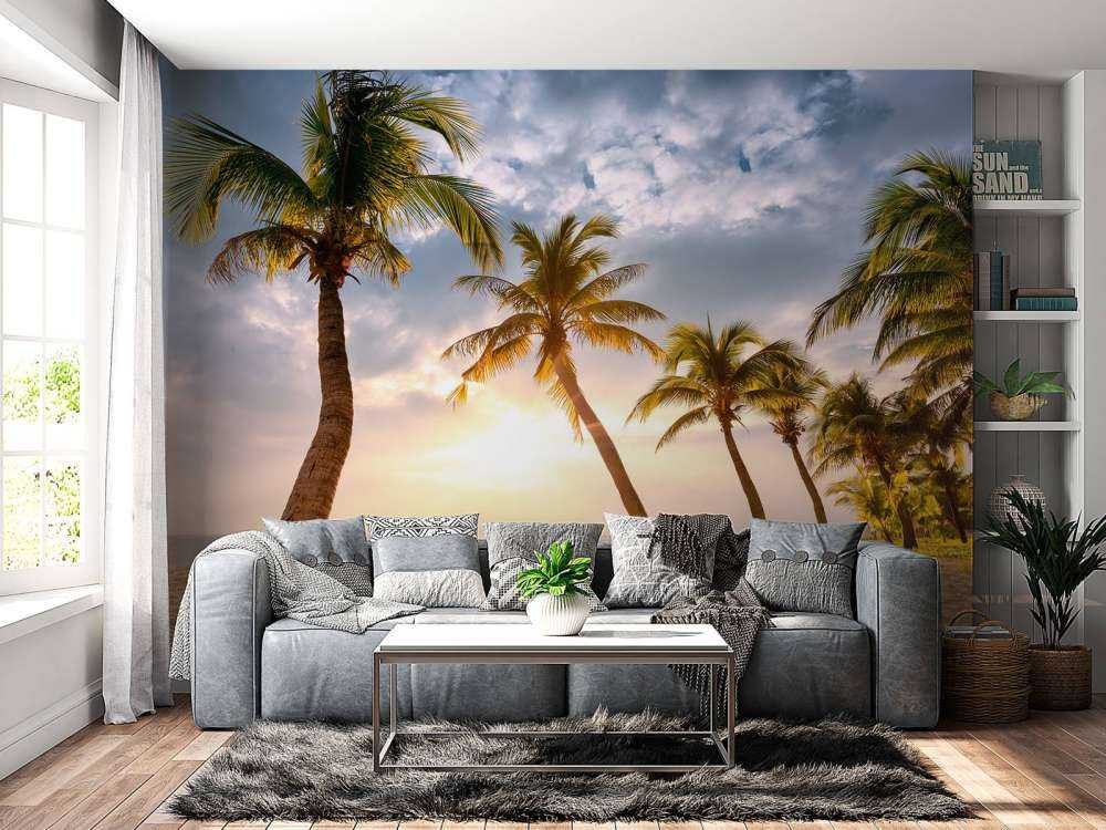 Palmy kokosowe na tle zachodzącego słońca