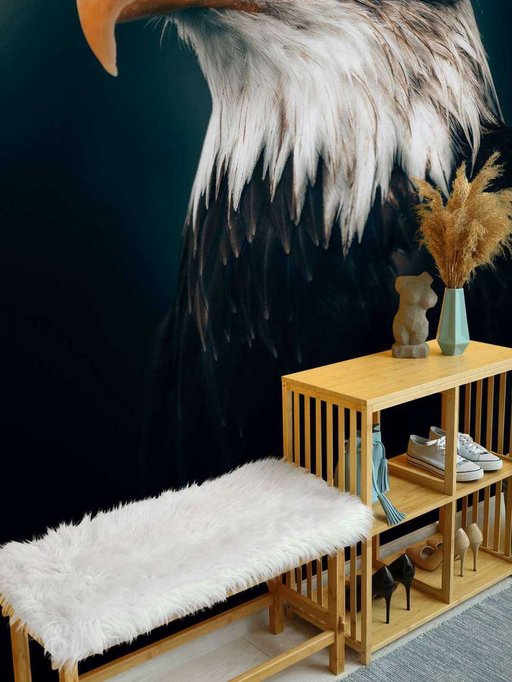 Orzeł morski w zbliżeniu