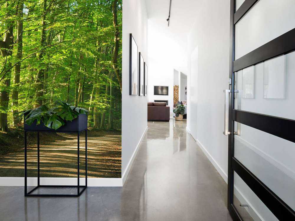 Słoneczna droga przez las