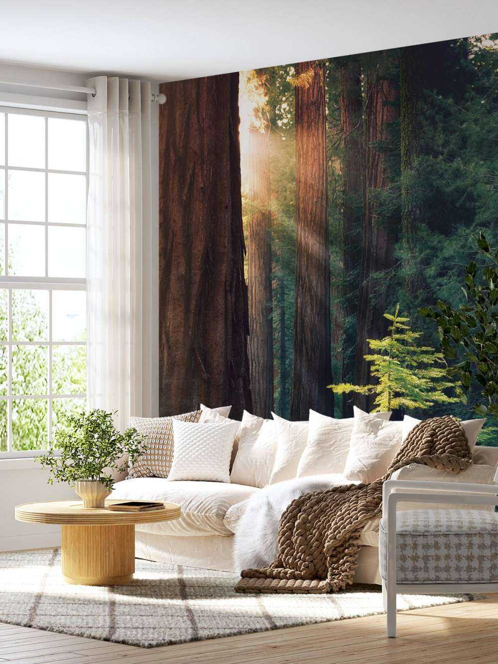 Światło słoneczne między drzewami mahoniowymi