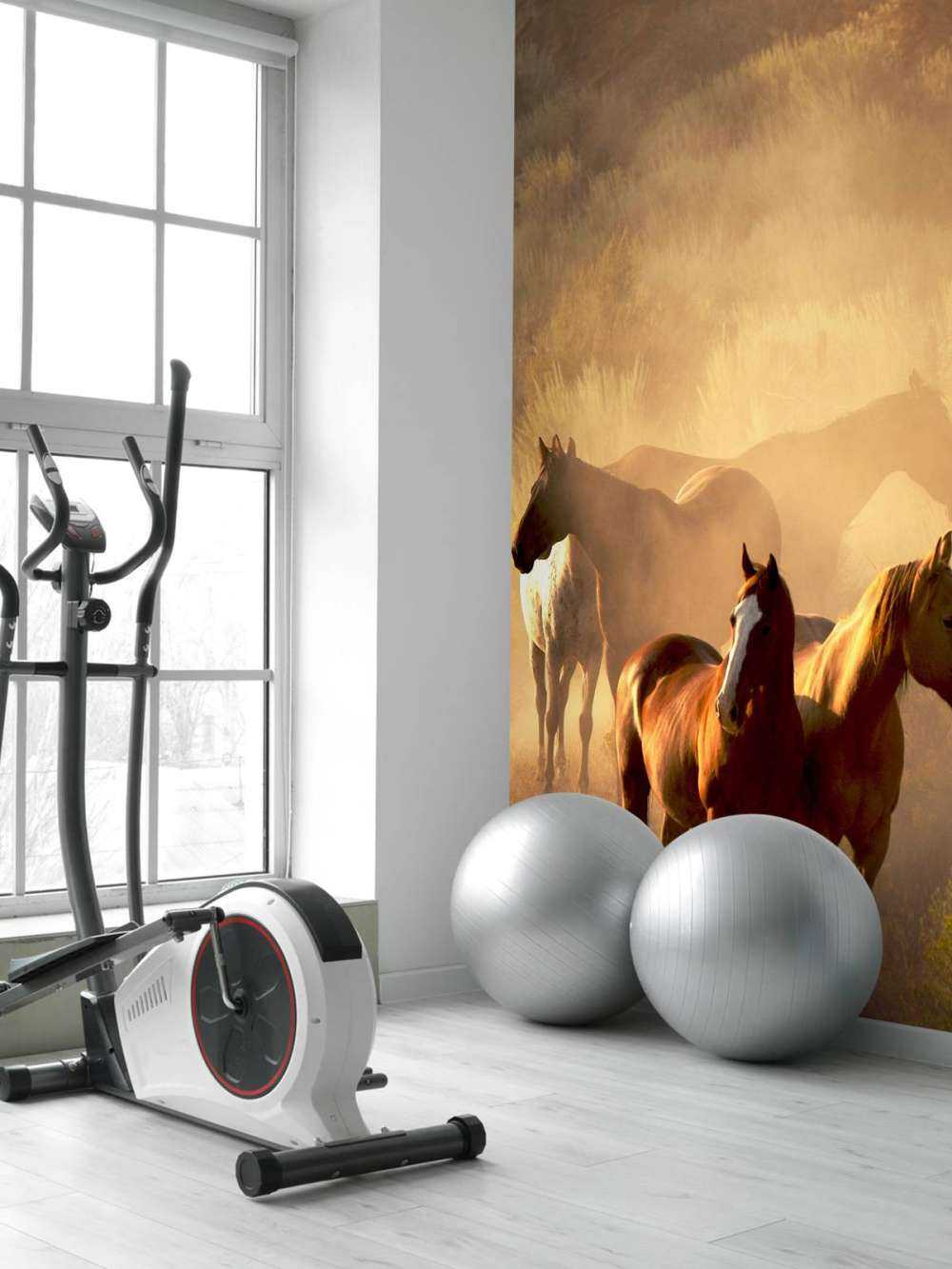 Konie podczas zachodu słońca