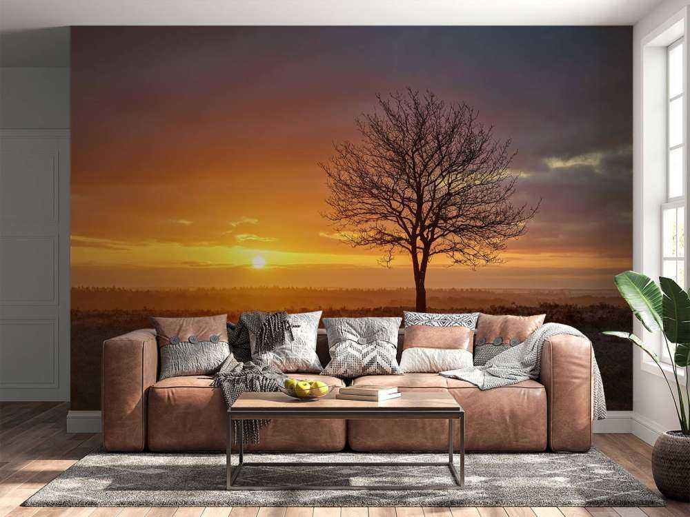 Kolorowy wschód słońca na wrzosowisku