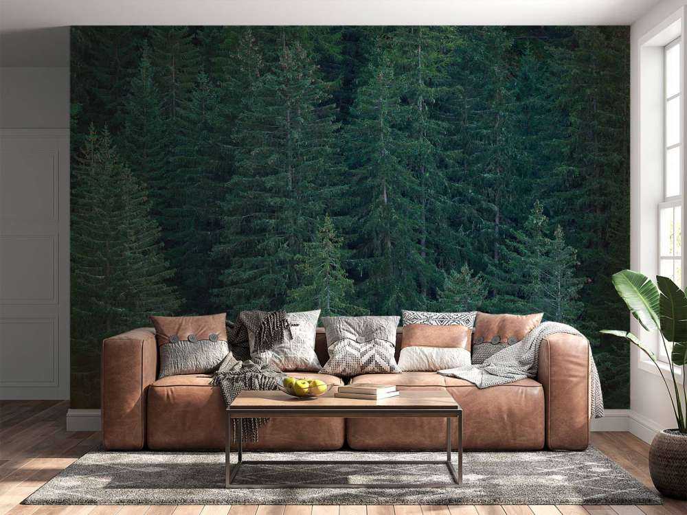 Drzewa iglaste z szyszkami sosnowymi