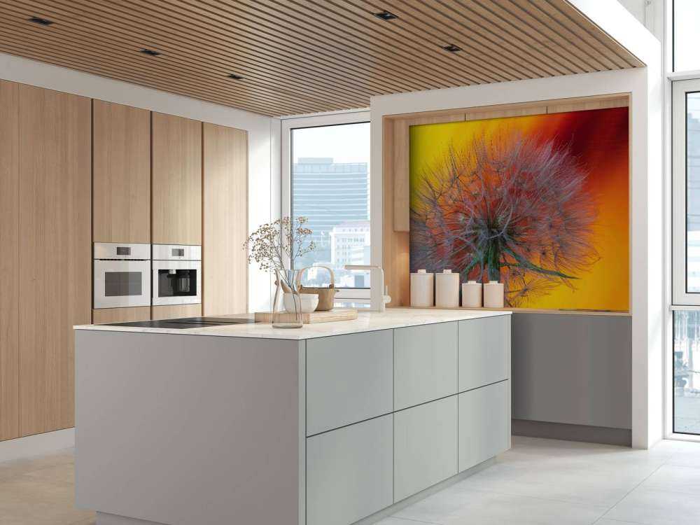 Zbliżenie na mniszka lekarskiego