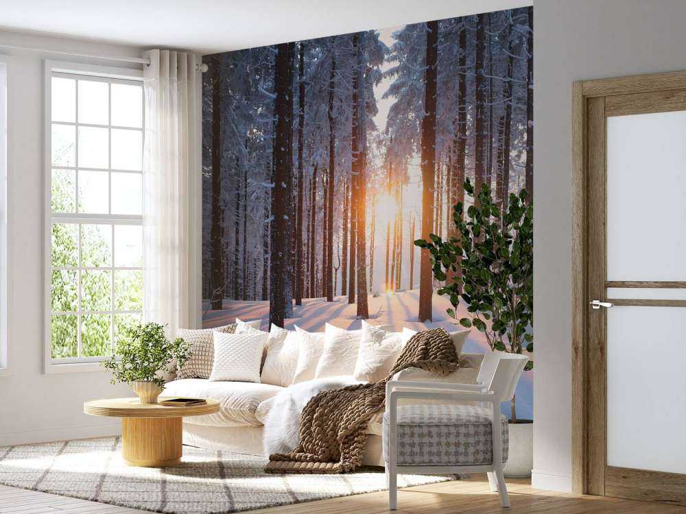 Zachód słońca w zimowym lesie