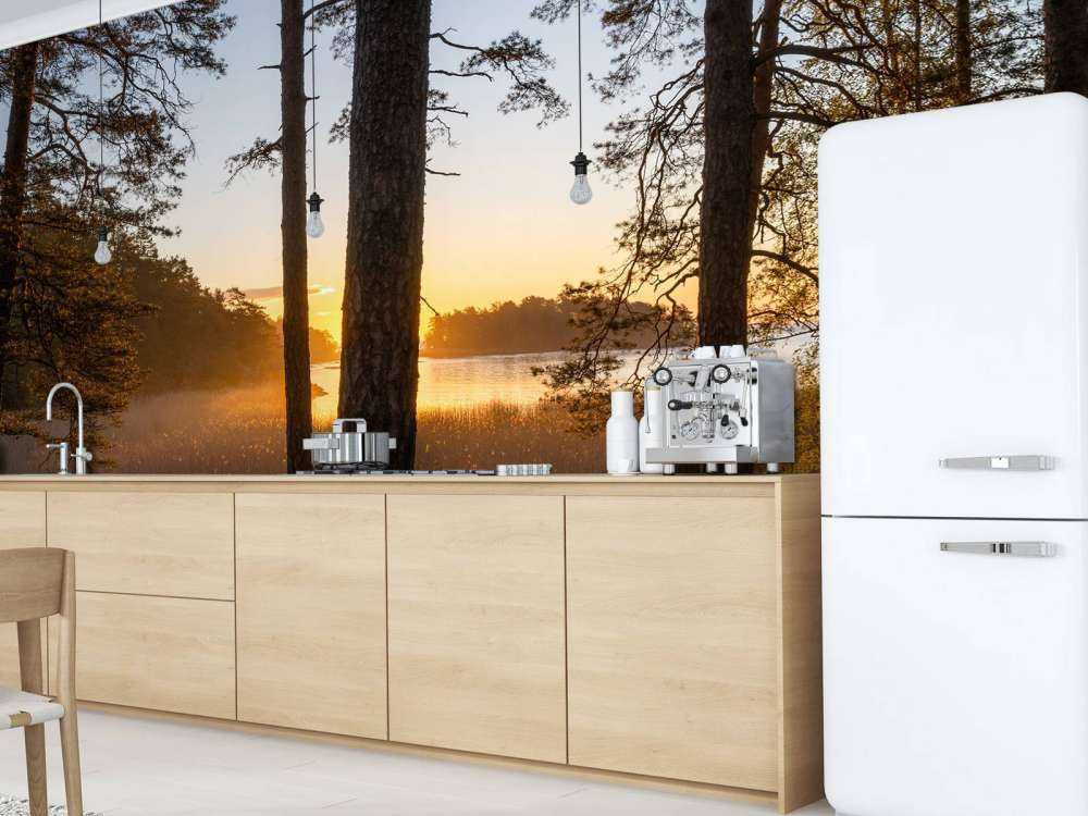 Las o zachodzie słońca