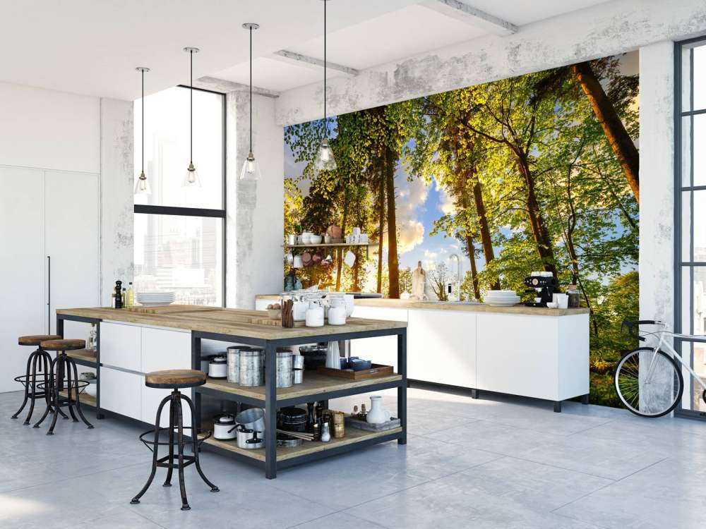 Zachód słońca wśród drzew