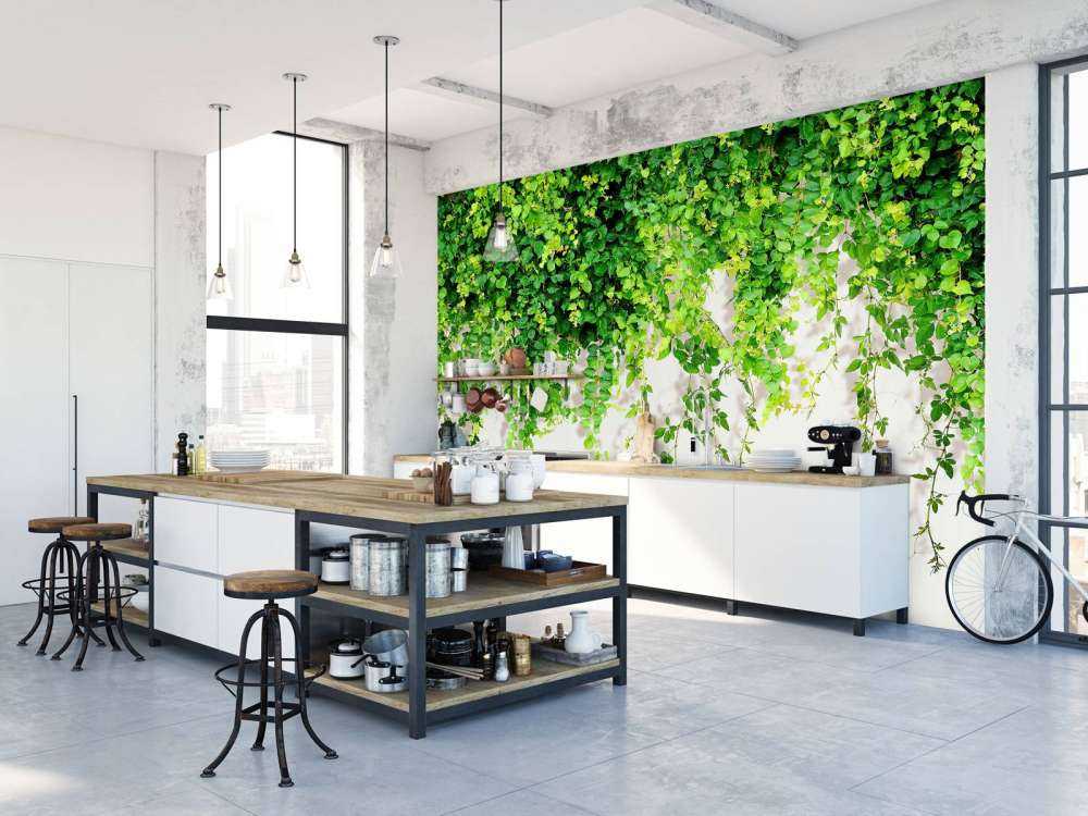 Zielone zwisające gałęzie