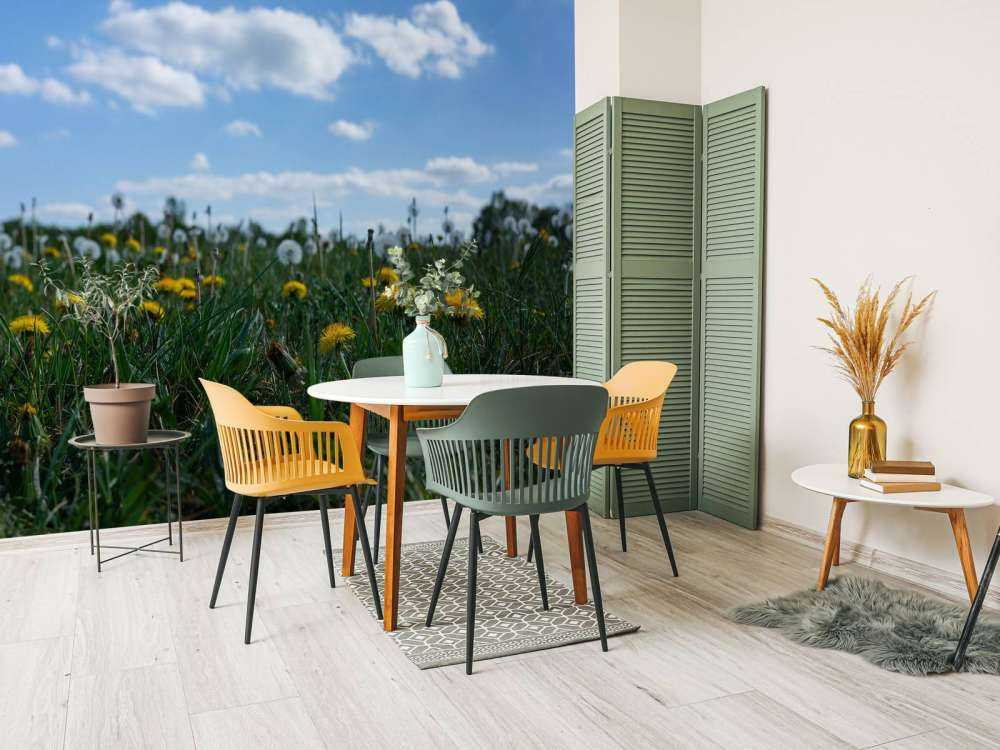 Żółte mniszki lekarskie