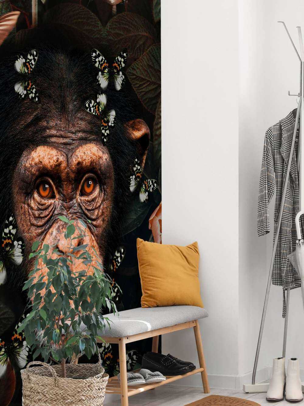 Tropical Chimpanzee Portret