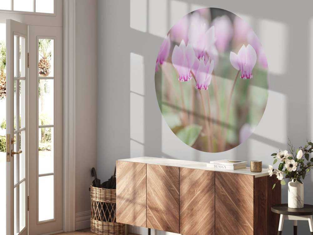 Ładne kwiaty bluszczu