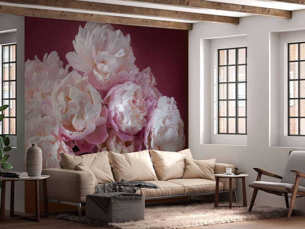 Pęczek różowych piwonii