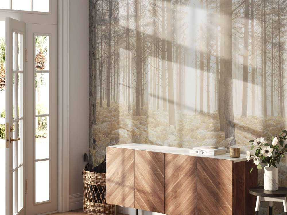 Promienie słońca w zimnym lesie