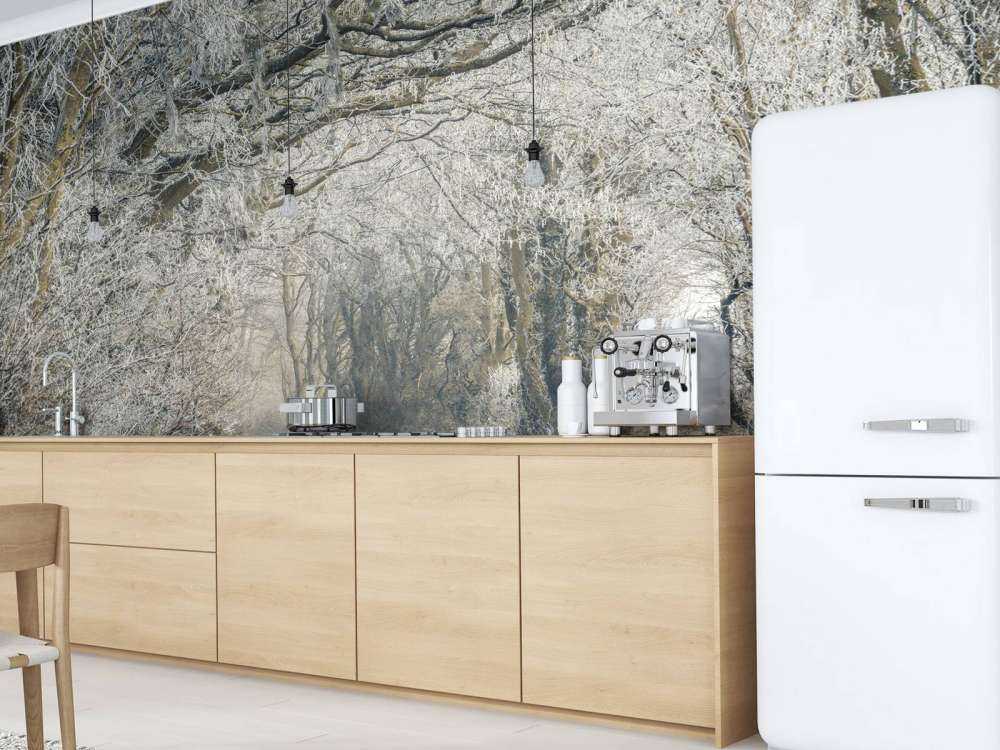 Zamarznięta droga przez las