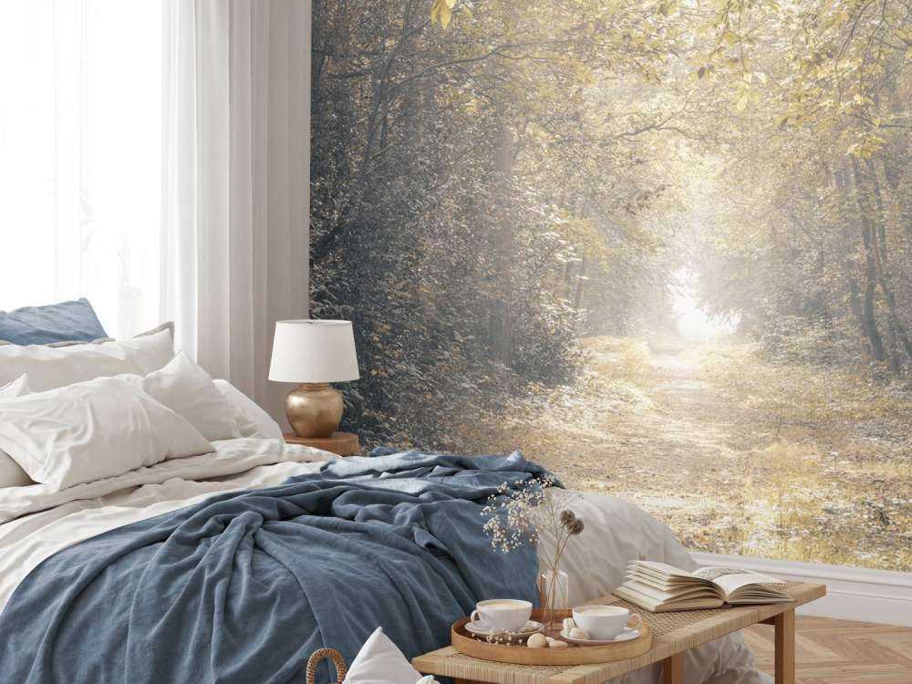 Ścieżka przez opuszczony las