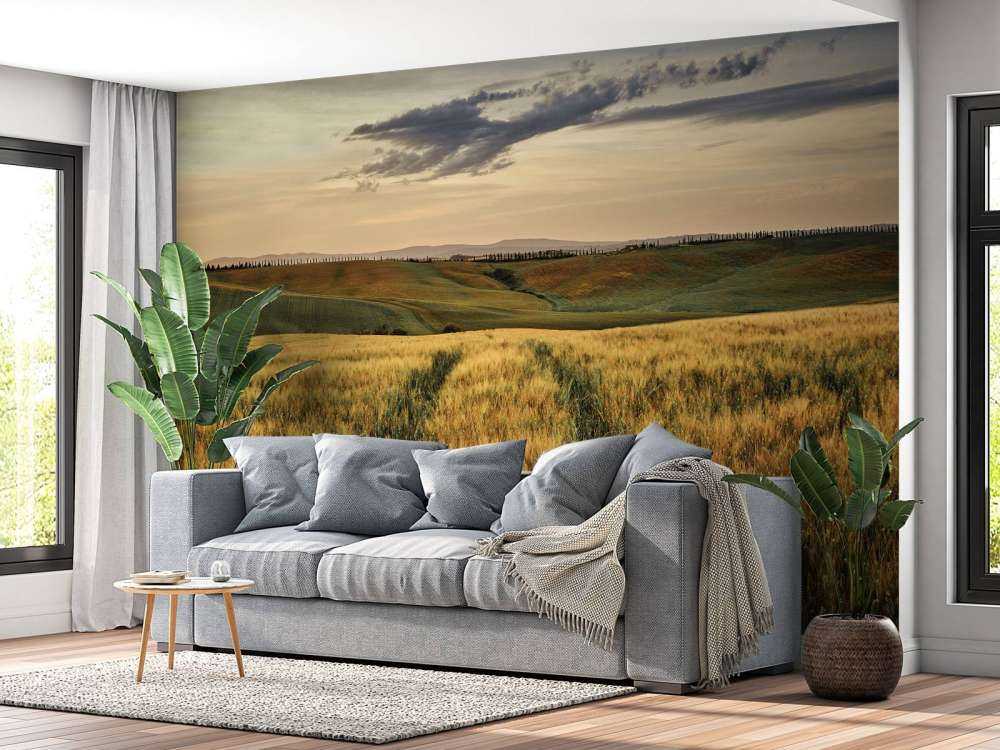 Pole zbożowe z torami