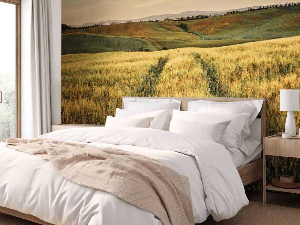 Pole zbożowe z torami