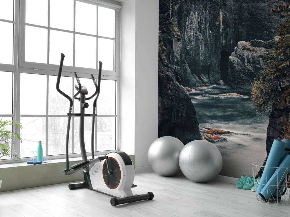 Surowa przyroda na wybrzeżu