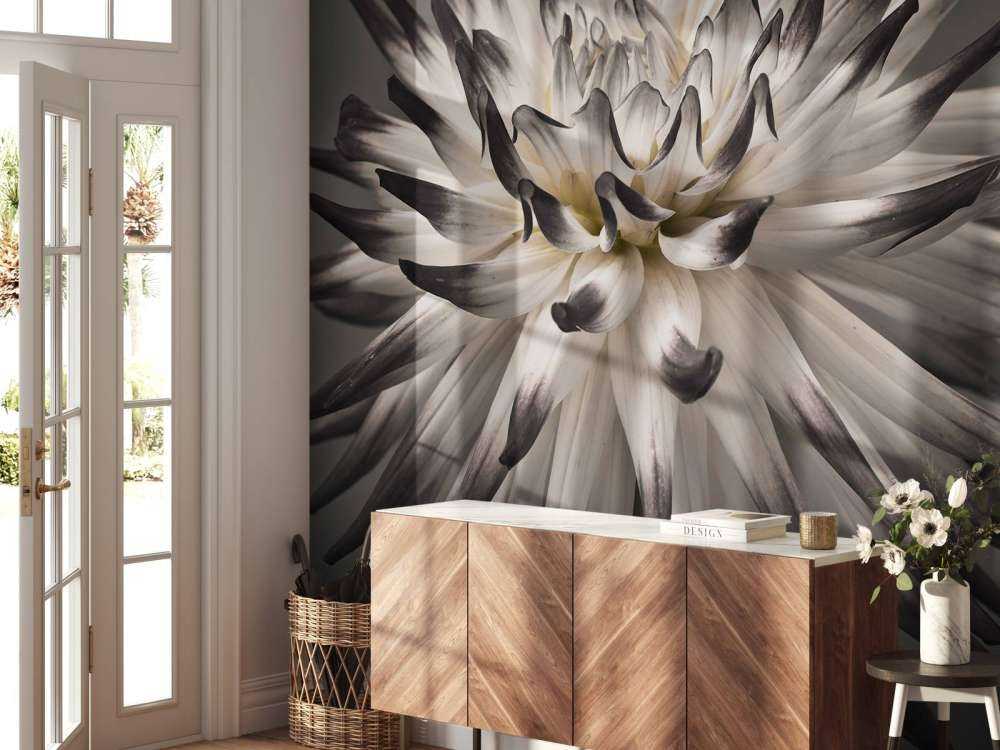 Kwiat dalii czarno-biały