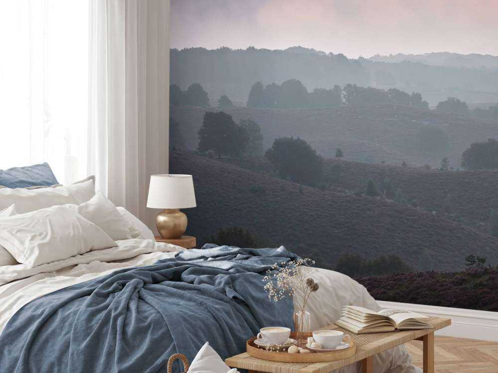 Mglisty wschód słońca na wrzosowisku