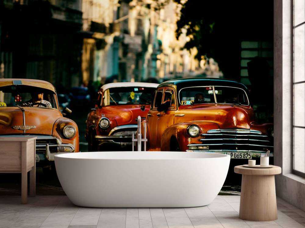 Come with me in the morning light