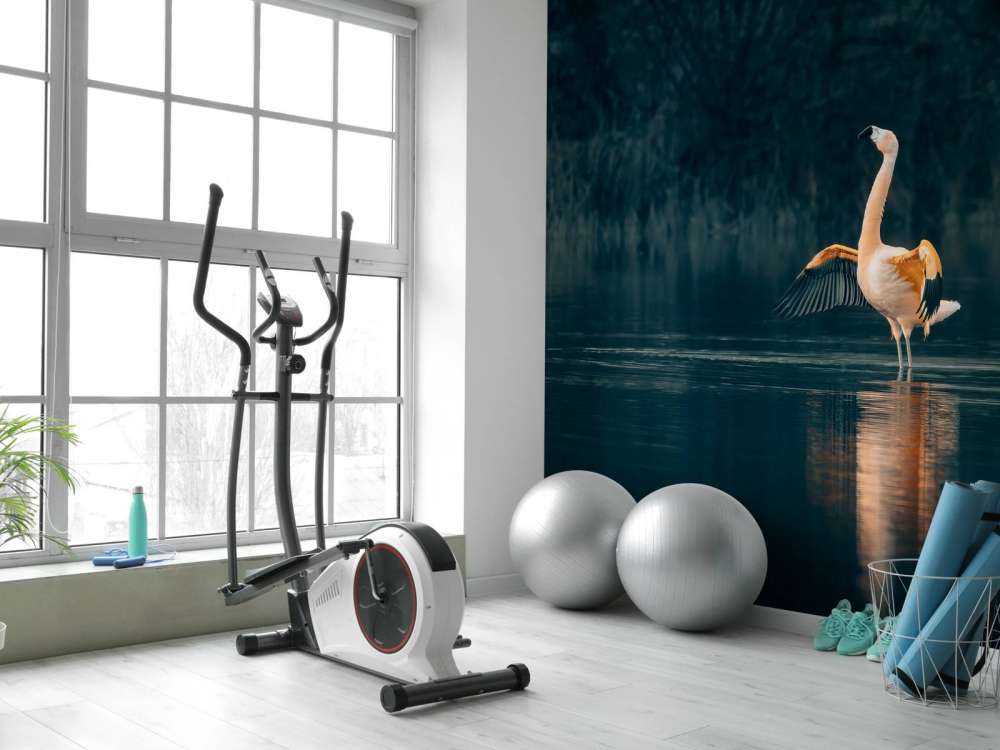 Flaming w opuszczonym jeziorze