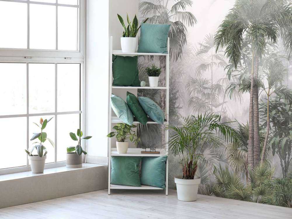 Poranna Mgła w Tropikach