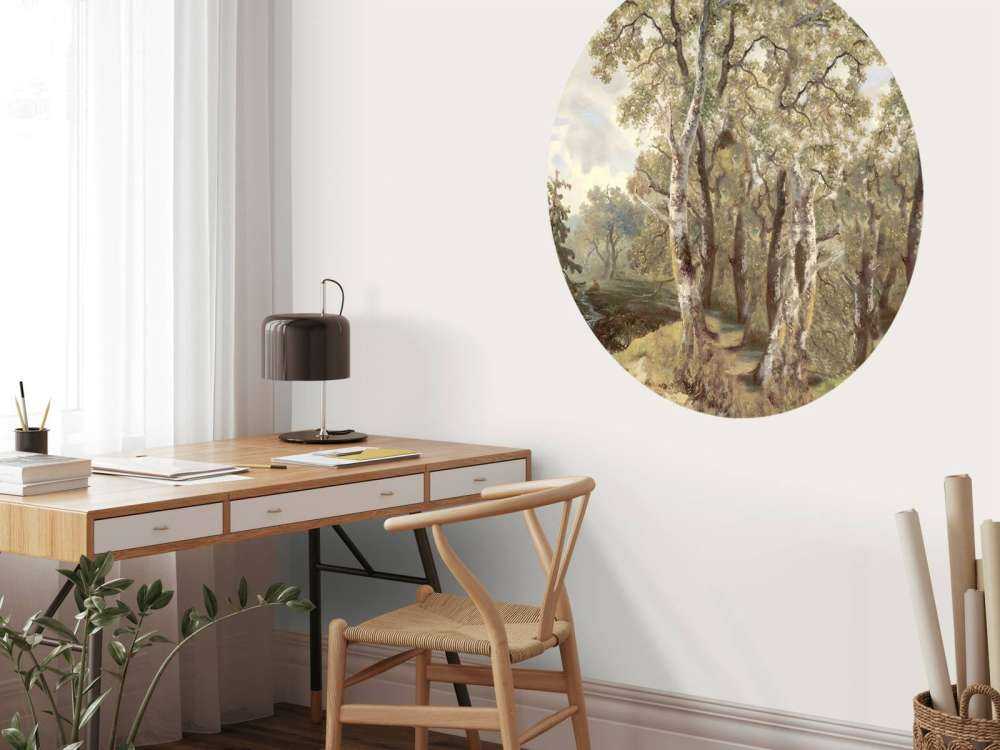 Panorama Kolorowego Krajobrazu Leśnego