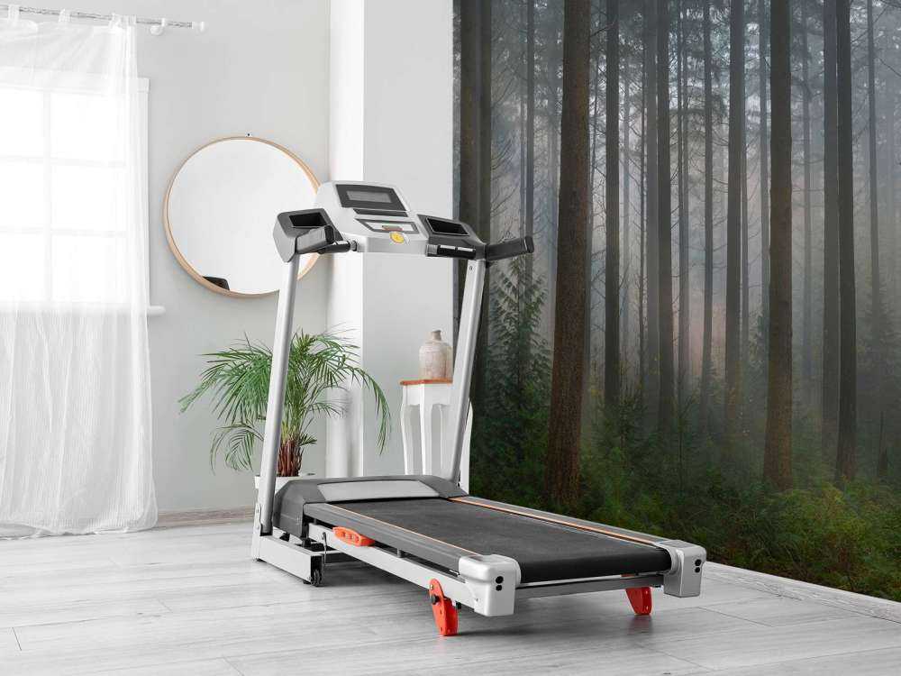 Mglisty, zielony las