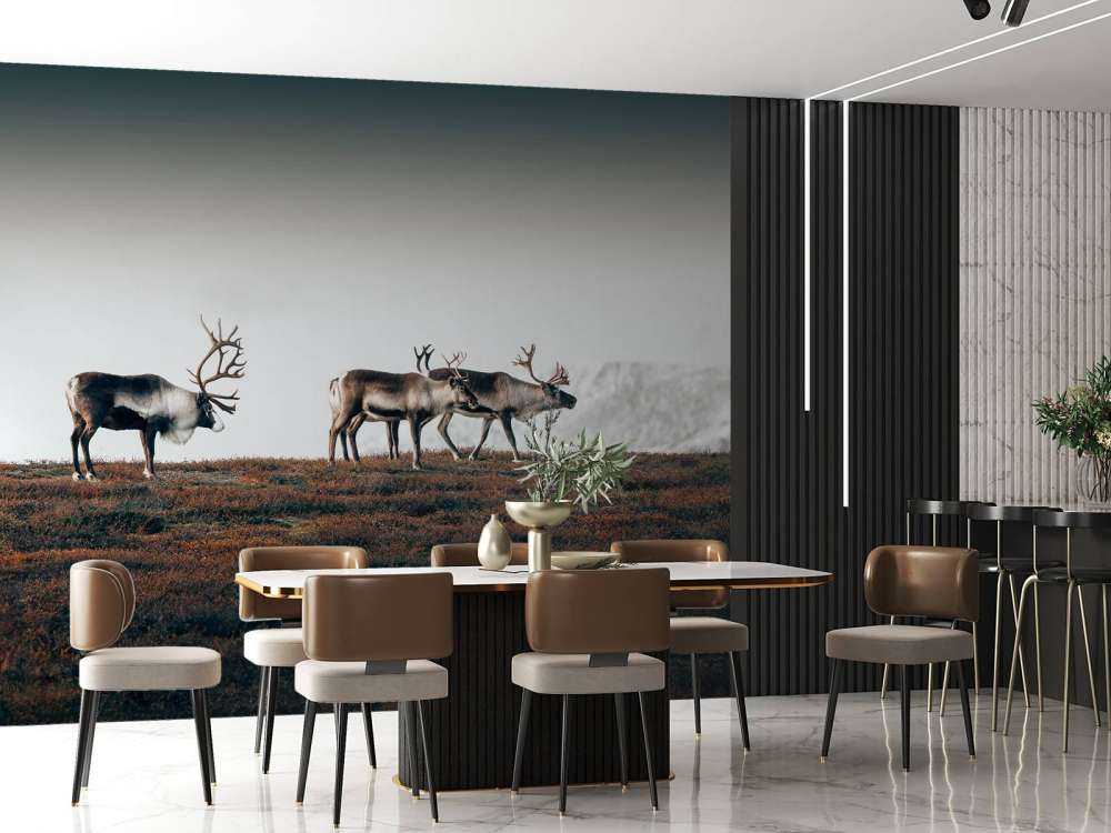 Grupa reniferów w północnej Europie