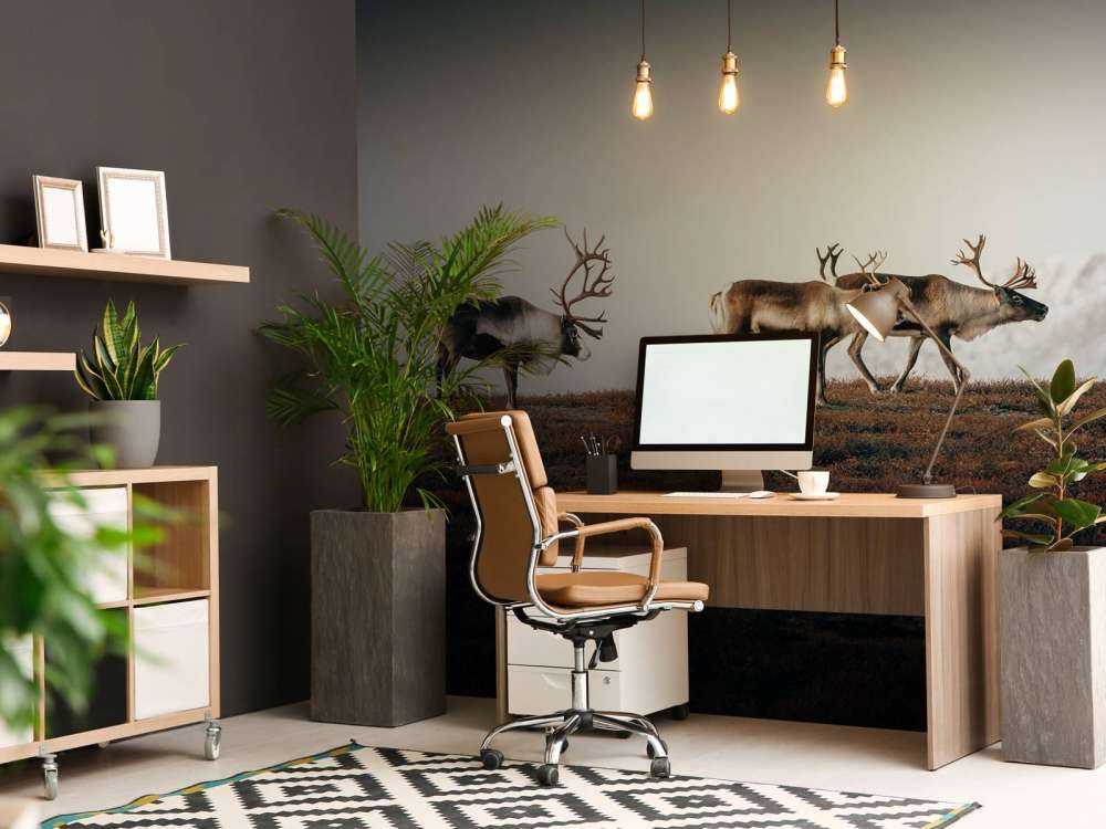 Grupa reniferów w północnej Europie