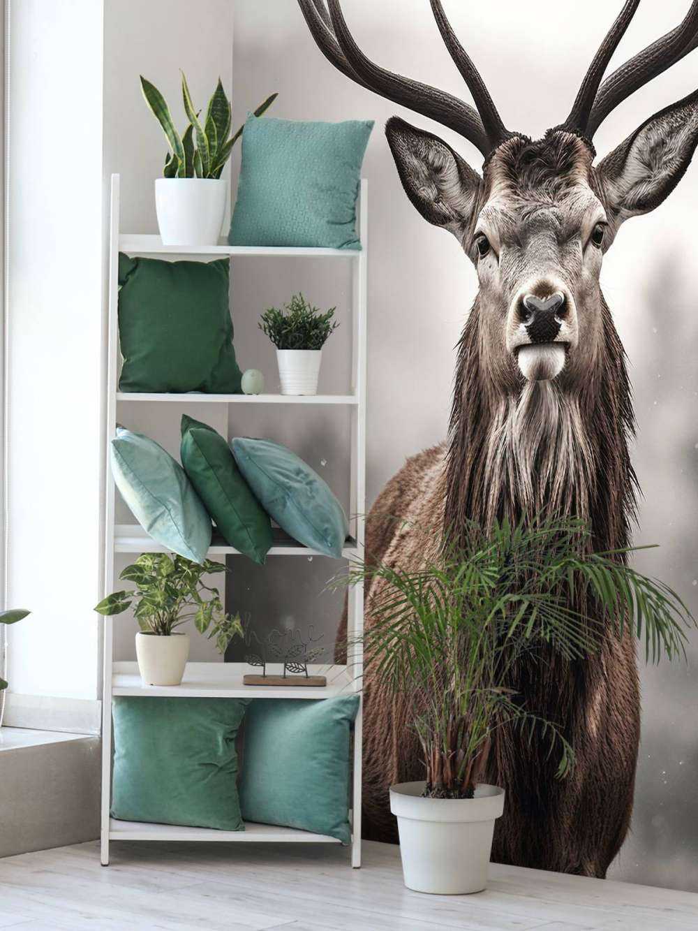 Spojrzenie zimowego króla jeleni