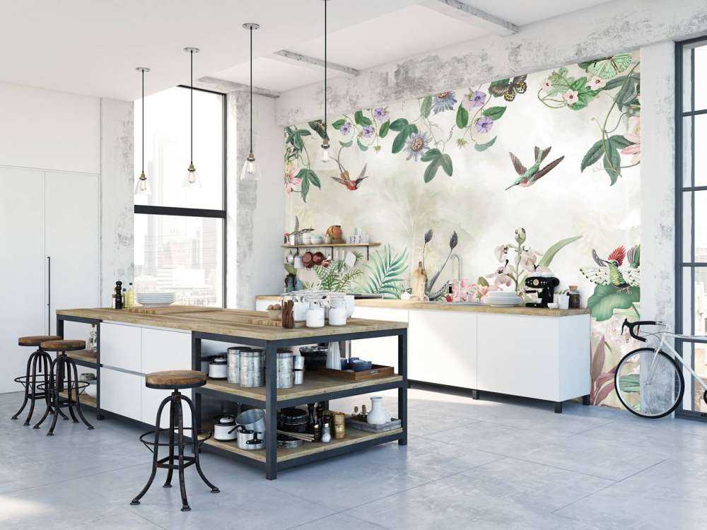 Tropic and Orchids 2