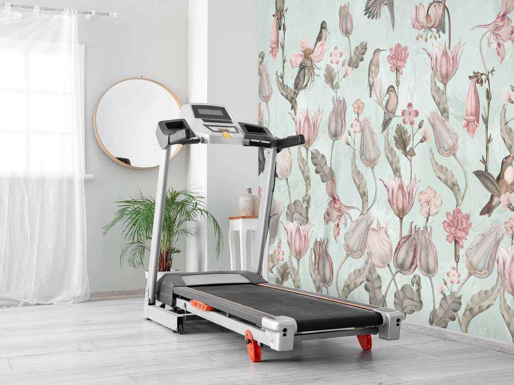 Symfonia Kolibrów Wiosennych - Miętowa Łąka