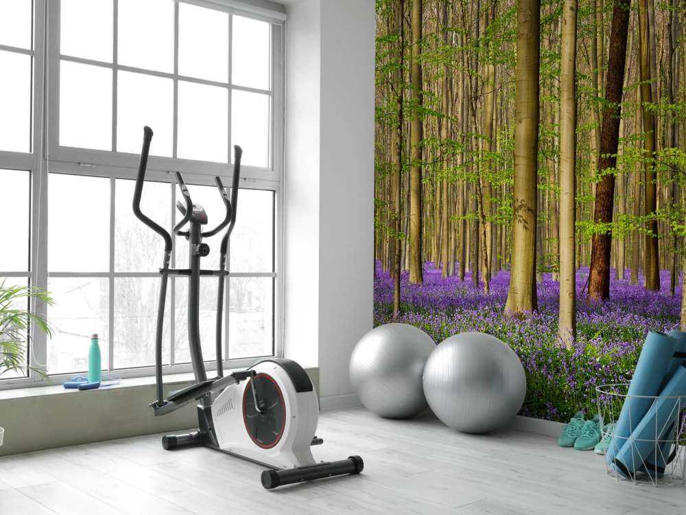 Las z hiacyntami leśnymi