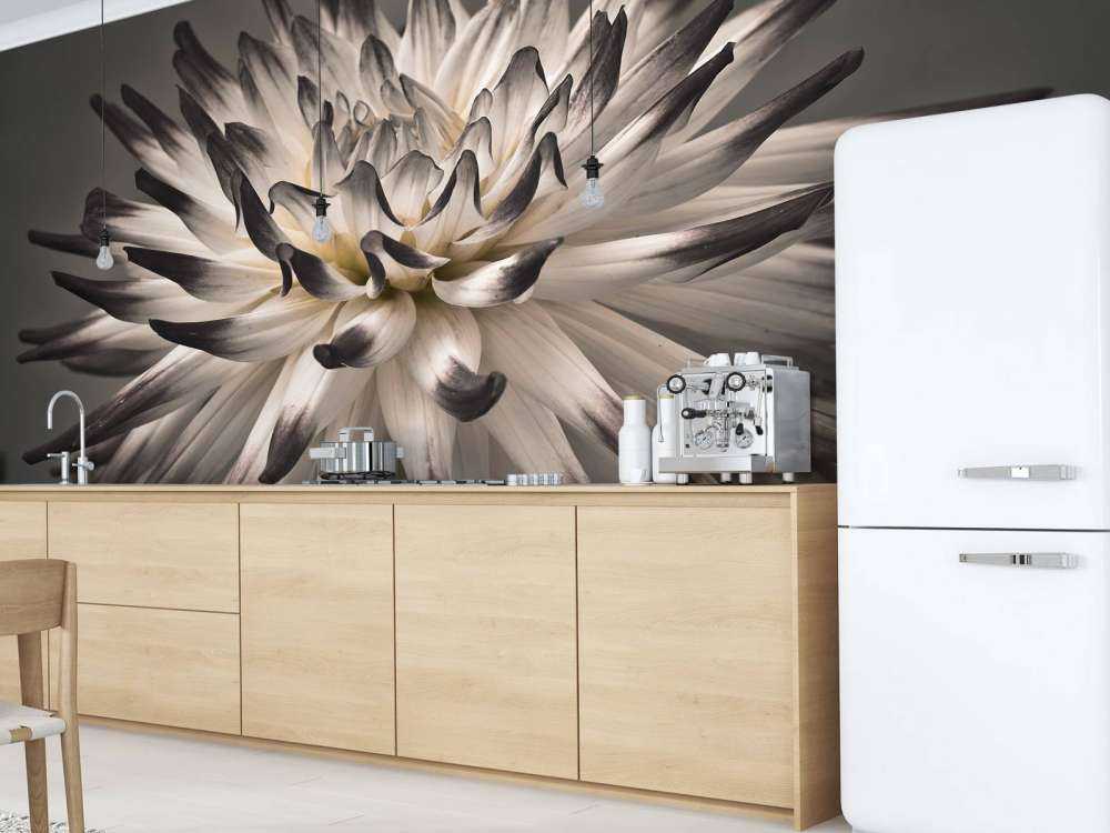 Kwiat dalii czarno-biały