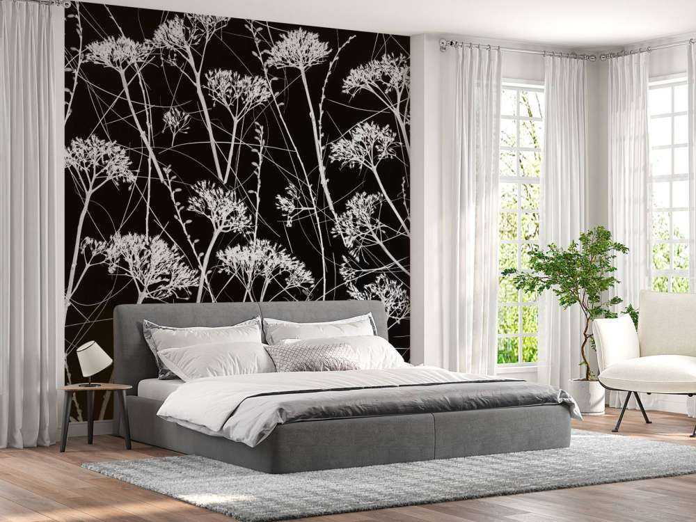 Sylwetka suszonych roślin