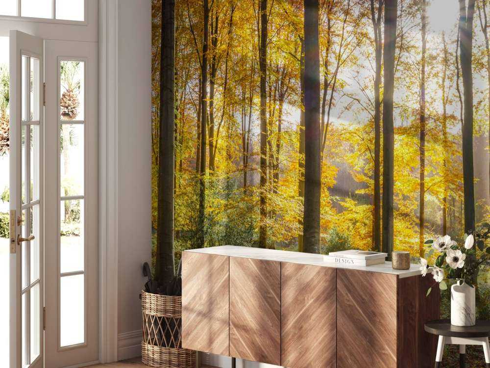 Słoneczny jesienny dzień