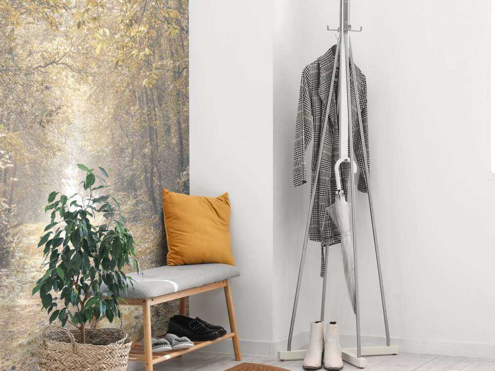 Ścieżka przez opuszczony las