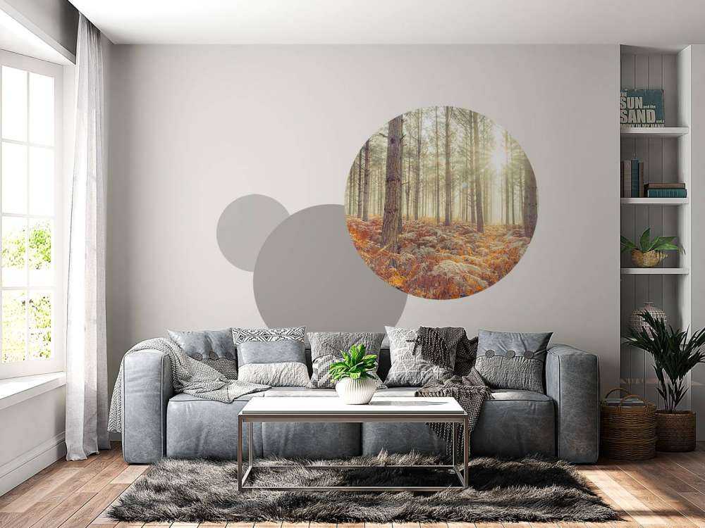 Promienie słońca przez zimne drzewa