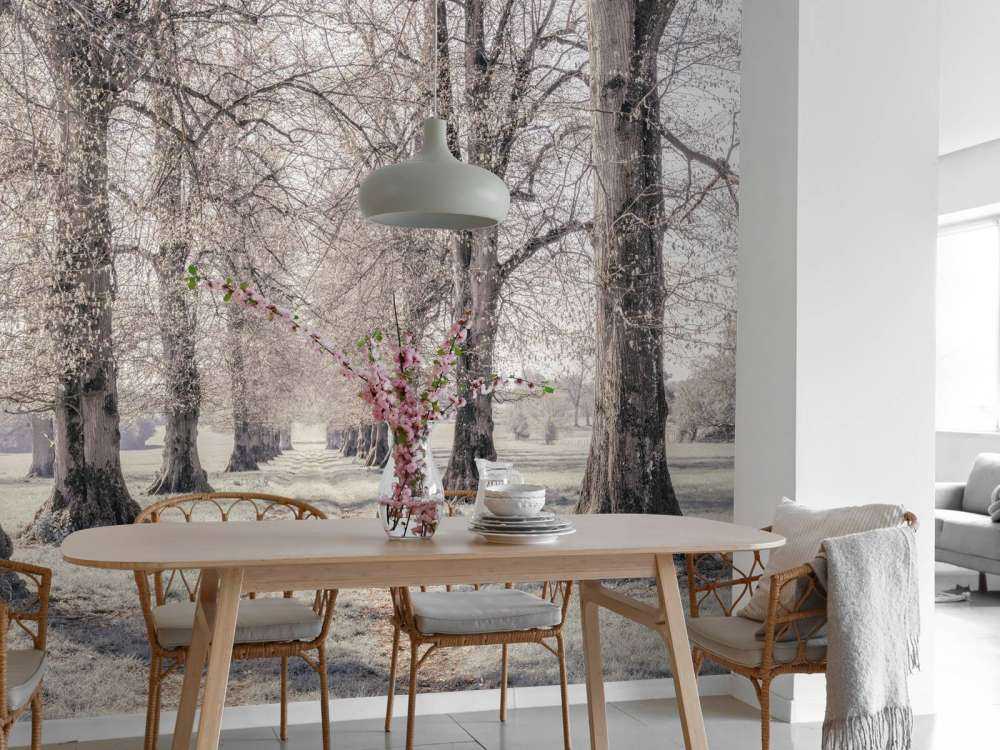 Ślady opon między drzewami