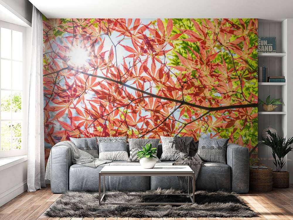 Czerwone jesienne liście