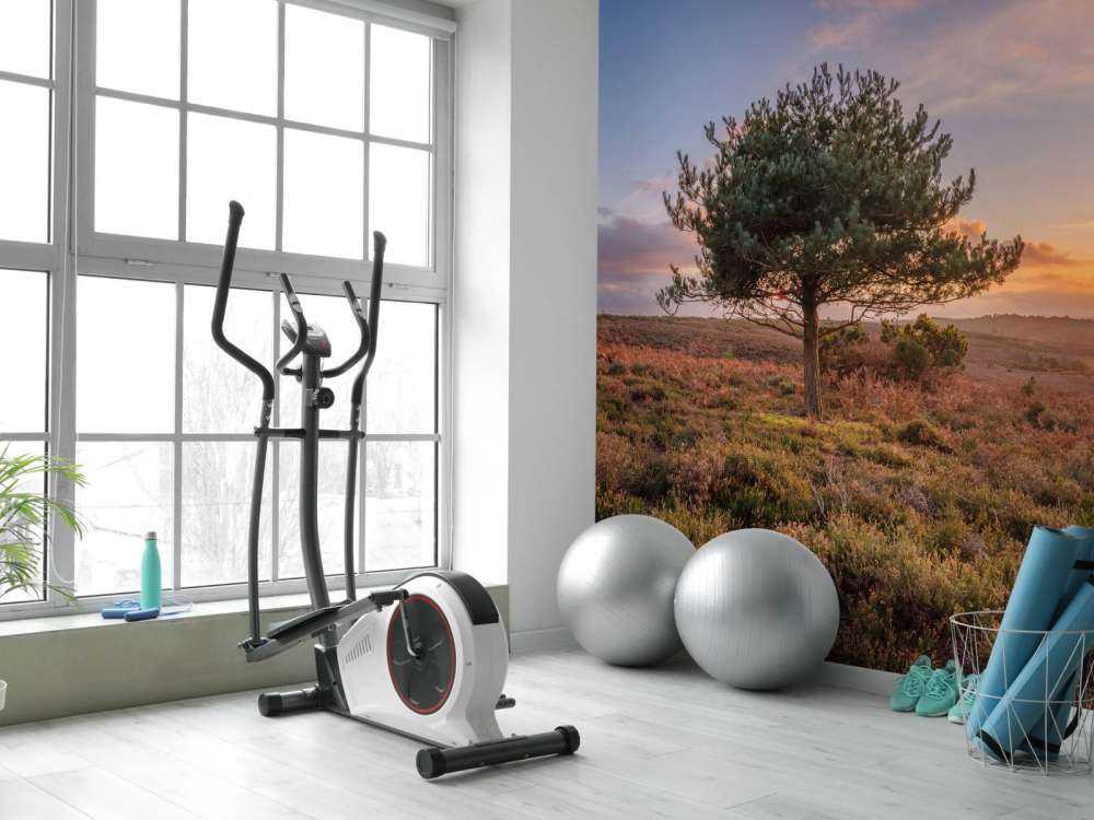 Zachód słońca w opuszczonej okolicy