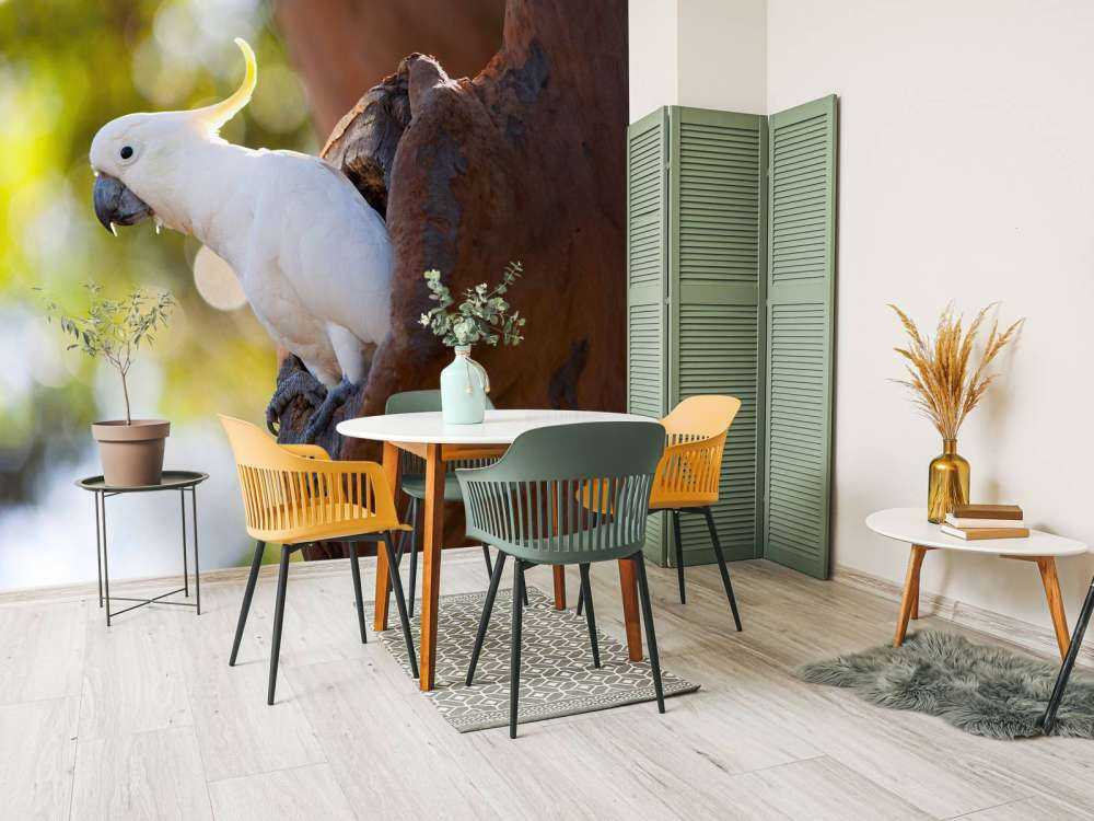 Kakadu w dziupli drzewa