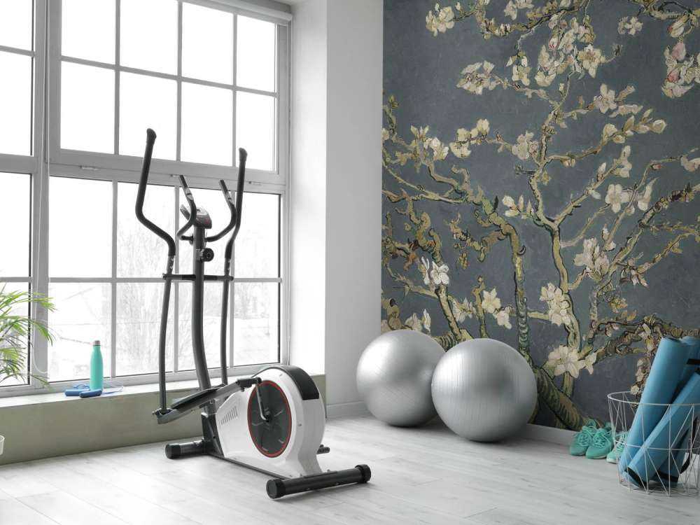 Kwiat migdałowca w rozkwicie