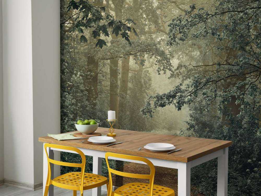 Ścieżka przez las z mgłą