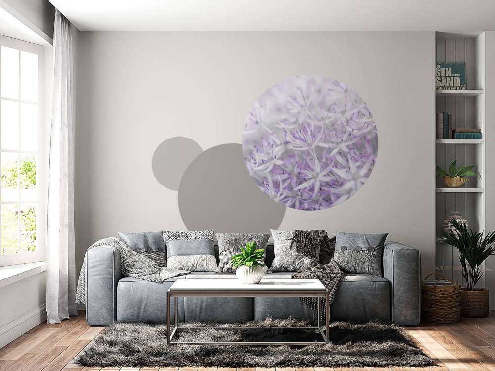 Kwiaty Allium w zbliżeniu