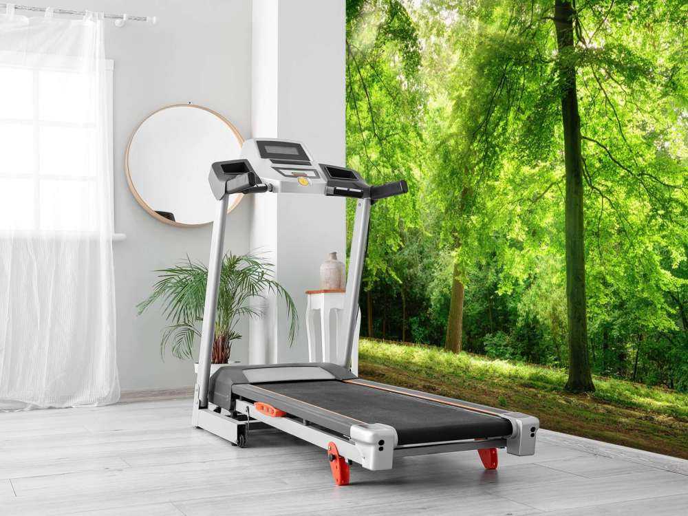 Las z lekką mgiełką