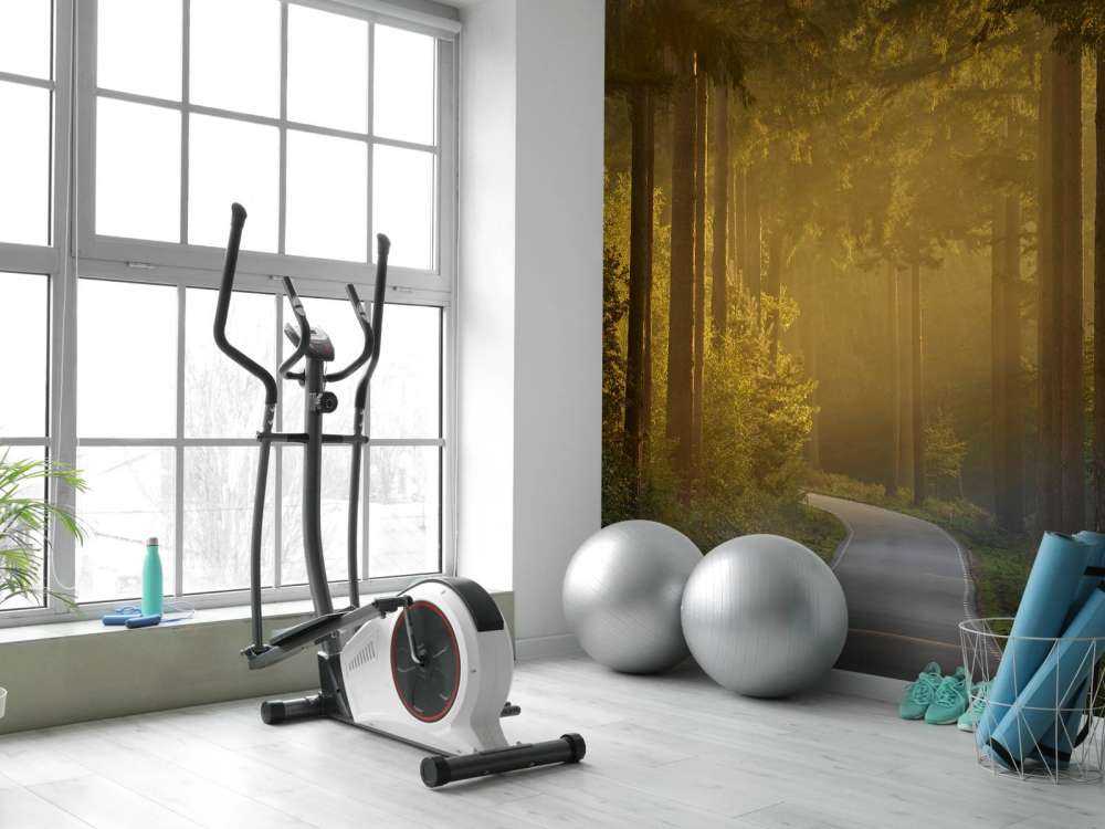 Wschód słońca w drodze przez las