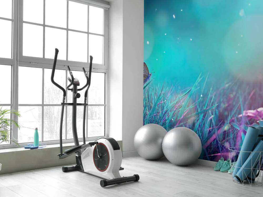 Motyl w porannej rosie